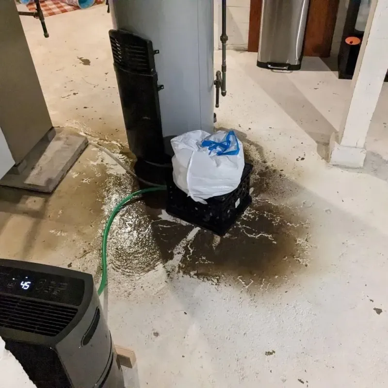Sewage Backup Cleanup Service in York, PA